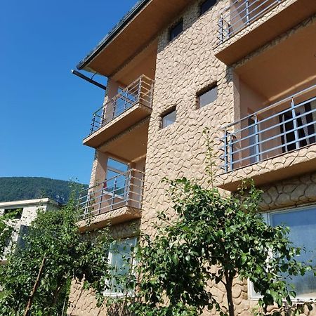 Guesthouse on Sovhoznaya 18 Gagra Exteriér fotografie