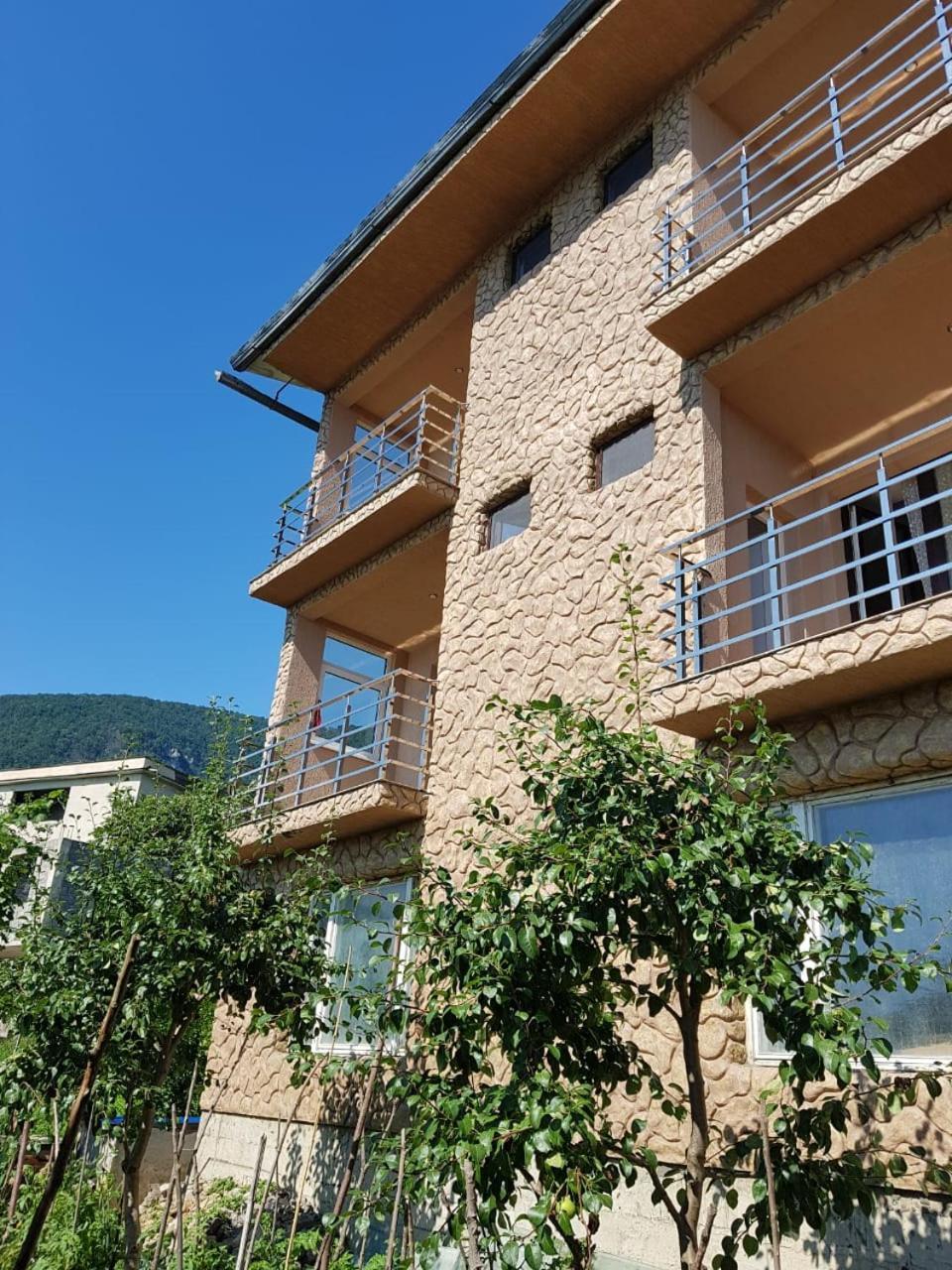 Guesthouse on Sovhoznaya 18 Gagra Exteriér fotografie