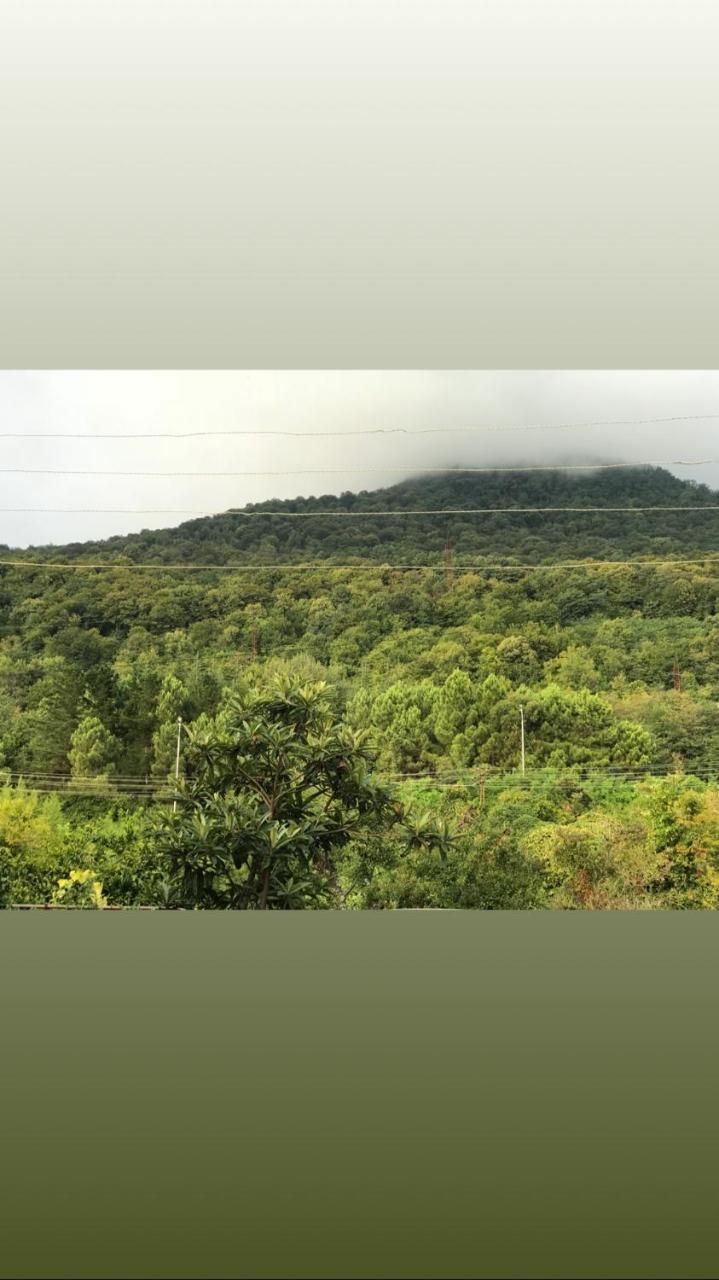 Guesthouse on Sovhoznaya 18 Gagra Exteriér fotografie